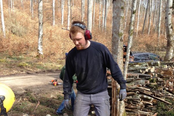 holzmachen2018-584531A84-3F0E-C886-F437-243094F58E8F.jpeg