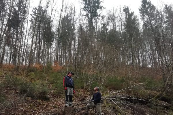 holzmachen2019-151CF40755-32C0-F184-28C4-5E1A4FCE1075.jpeg