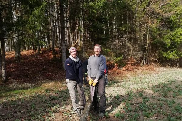 holzmachen2019-5B990C8BE-C8FD-EC68-C86D-C9539ACF7067.jpeg